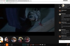 Pecker