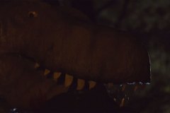 2021-01-20-12
